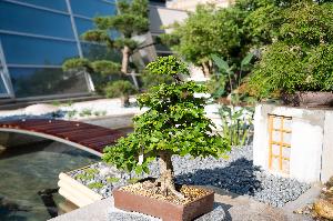 Jahresrückblick in der Wilhelma